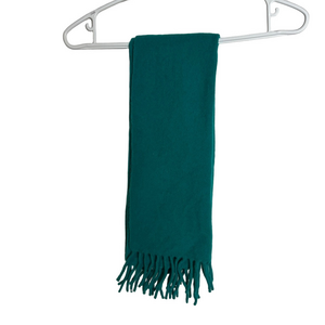 Harry Rosen Teal Lambswool Scarf Made in Italy Fringe Pure Wool Luxury Mens Gift